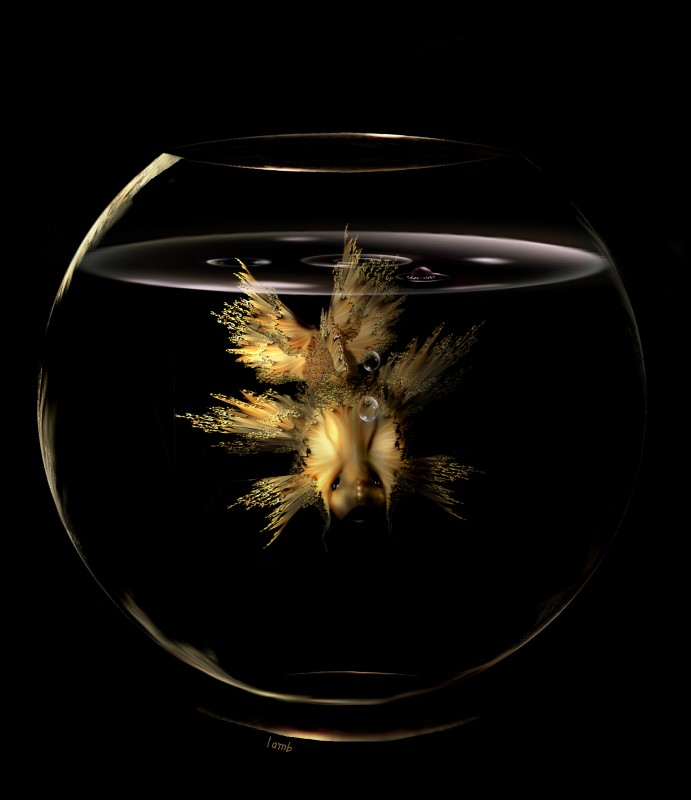 Image #3 of 12: 